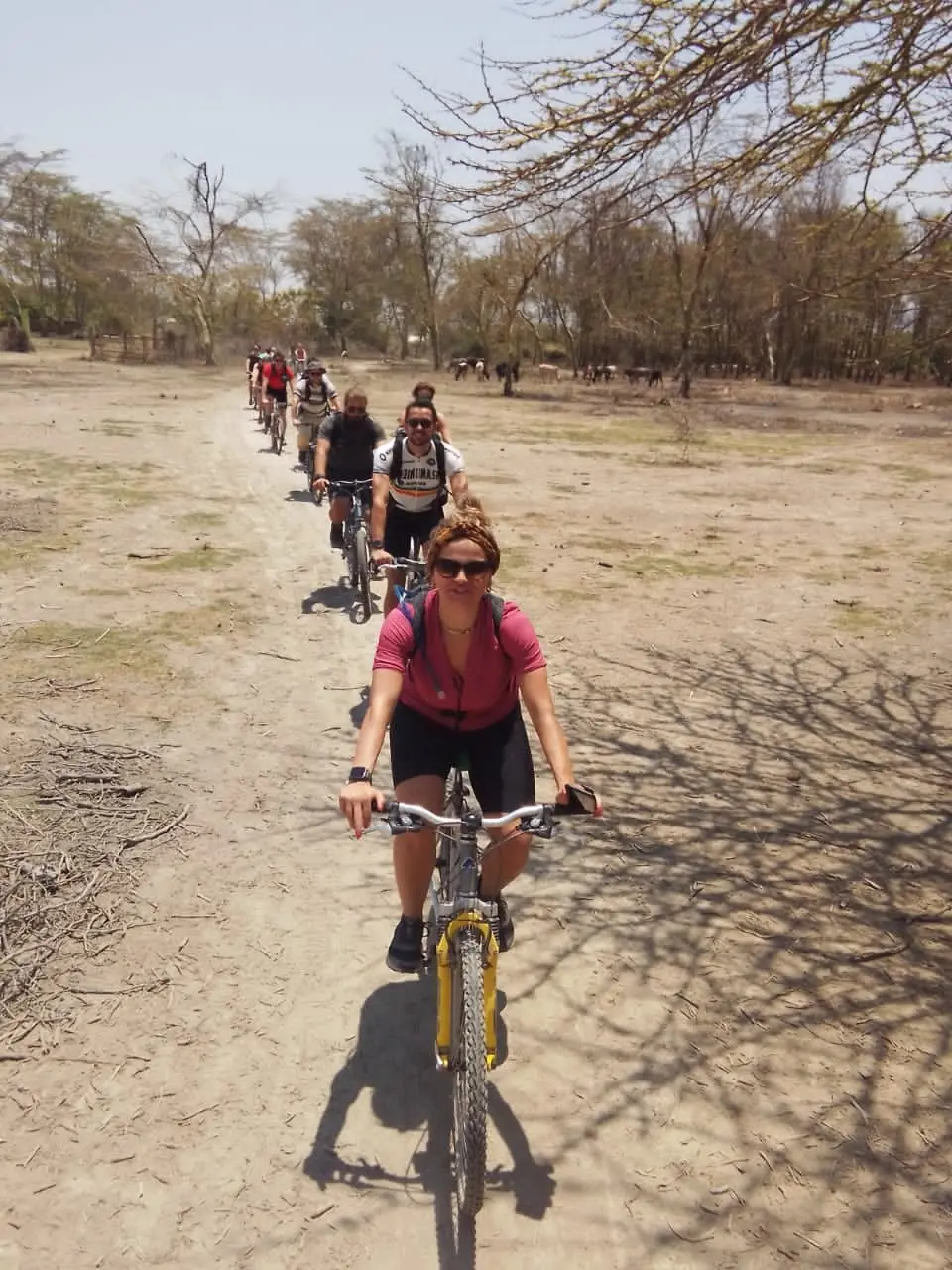 Cyclists riding in single file along a sandy track through acacia trees