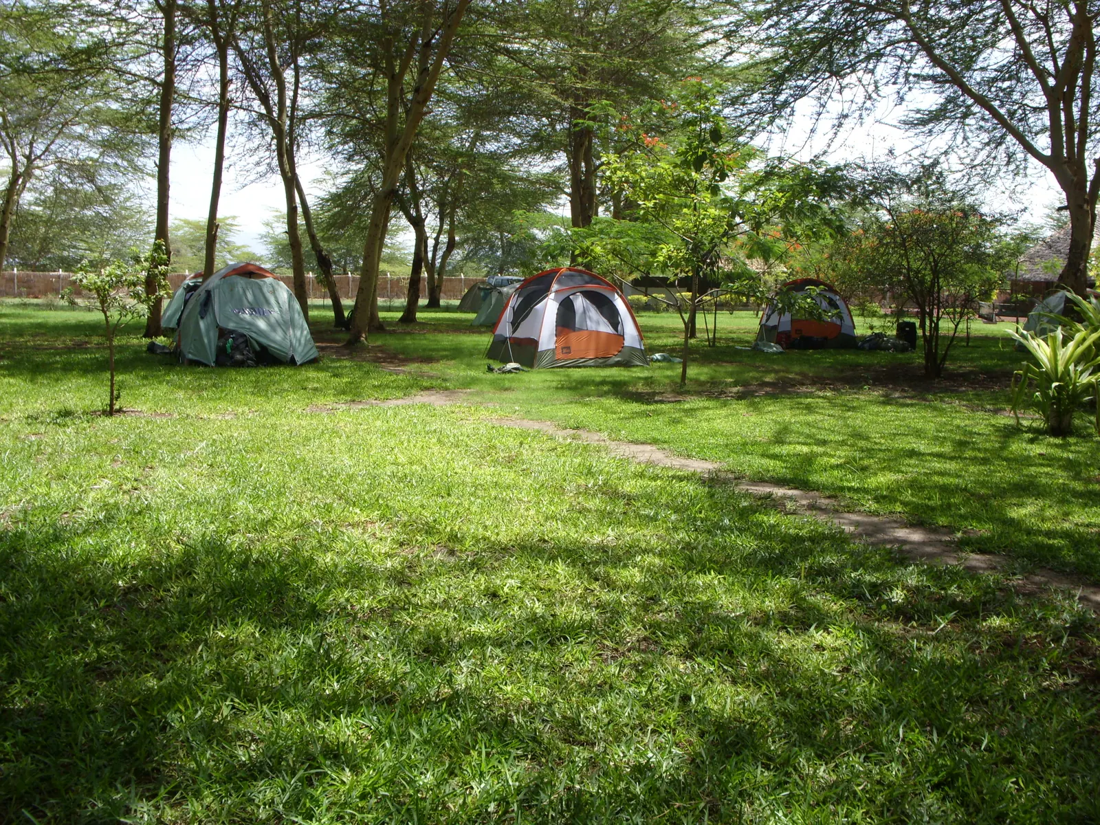 The campsite lawn under acacia woodland