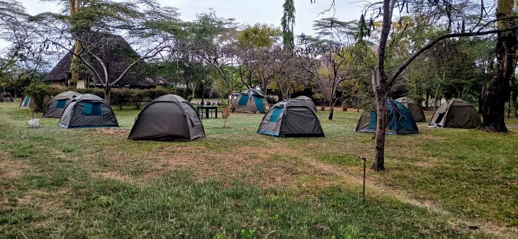 Dome tents on the campsite lawn, with a thatched building behind
