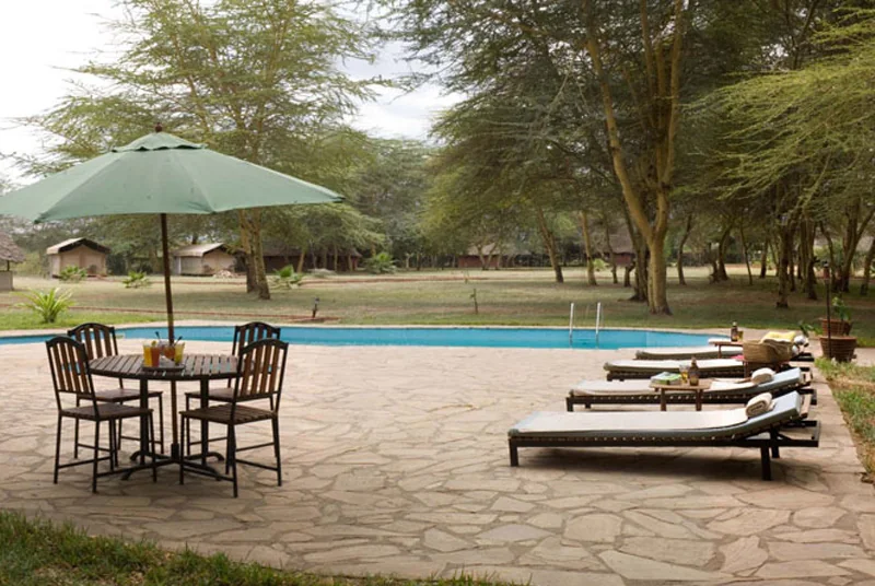 Loungers and umbrellas beside the pool